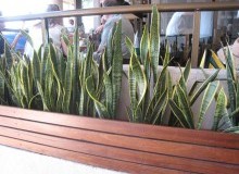 Kwikfynd Indoor Planting
fivemiles